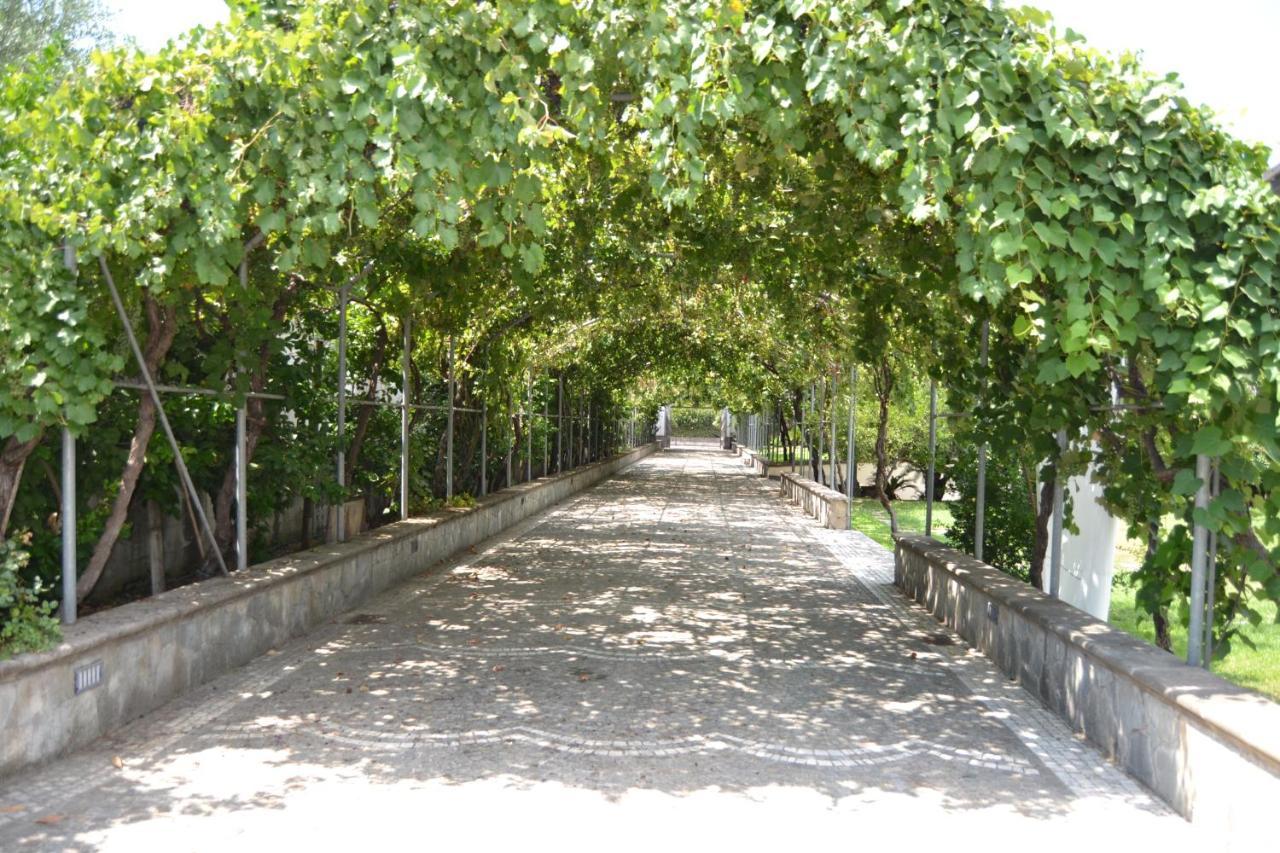I Giardini Del Vesuvio Villa Somma Vesuviana Exterior foto