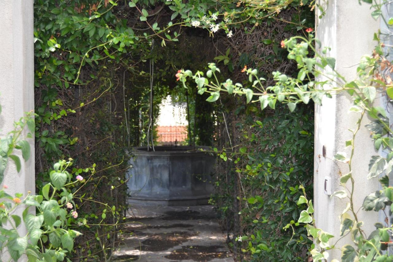 I Giardini Del Vesuvio Villa Somma Vesuviana Exterior foto